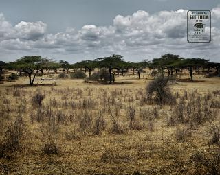 Johannesburg Zoo: Bushveld